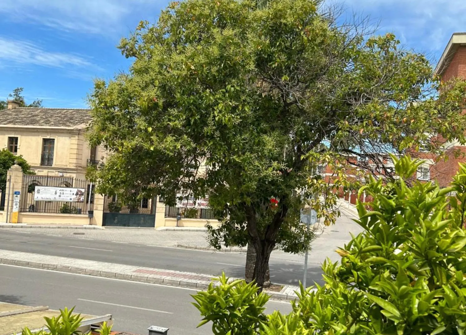 Avenida Duque Abrantes Apartment Jerez de la Frontera